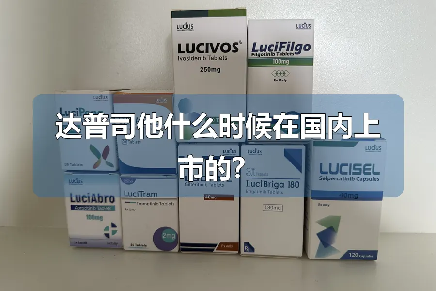 达普司他什么时候在国内上市的？